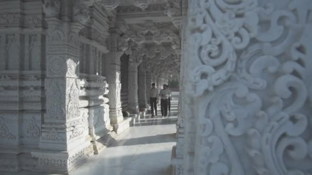 Baps Shree Swaminarayan Mandir Hindoe Tempel Delhi India Mannen Pak — Stockvideo