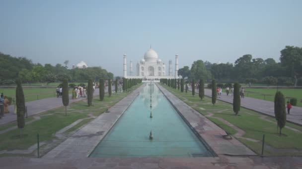 Taj Mahal Reflecting Pool Morning Sunrise Agra Uttar Pradesh India — Stock Video