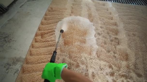 Carpet Cleaning High Pressure Washing — Stock Video