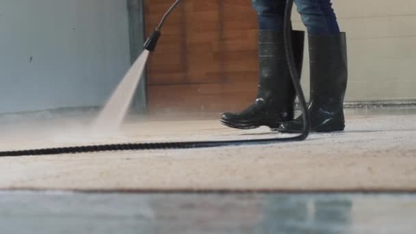 Limpeza Carpetes Com Lavagem Alta Pressão — Vídeo de Stock