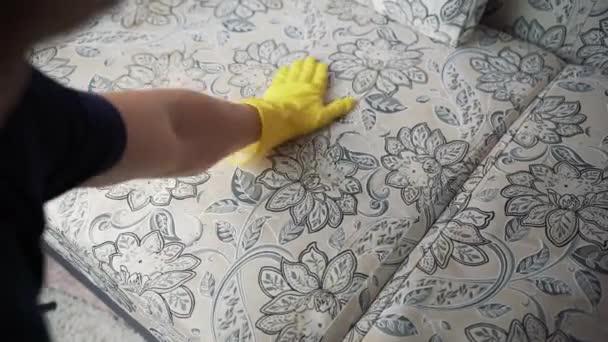 Tecido Limpeza Sofá Com Aspirador Vapor — Vídeo de Stock