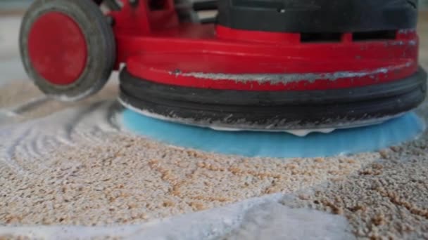 Professionelle Teppichreinigung Mann Reinigt Schmutzigen Teppich Reinigt Den Schaum Nach — Stockvideo