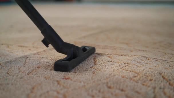 Staubsauger Reinigt Den Teppich — Stockvideo