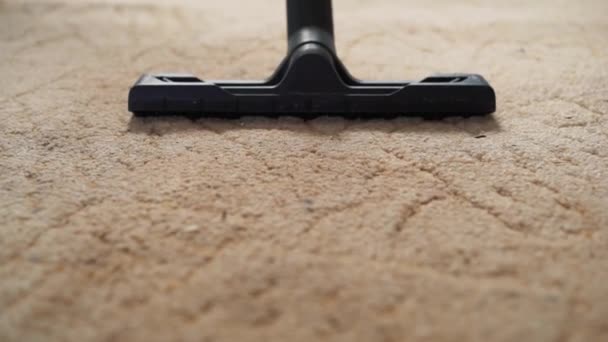 Vacuum Cleaner Cleaning Carpet — Stock Video