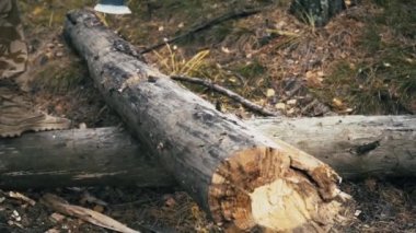 Dinamik balta kesme ahşap 