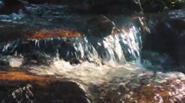 dağlarda yosunlu akışı 