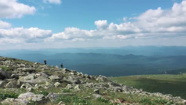 Піші Прогулянки Стежці Сонячний День Група Друзів Літні Пригоди Подорожі — стокове відео