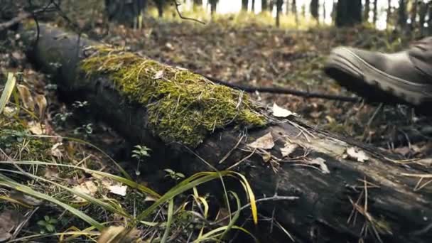 Męskie Buty Jesienią Człowiek Związany Sznurowaniem Buty Lesie — Wideo stockowe