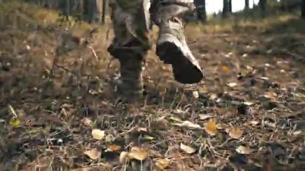 Мужская Обувь Осенью Мужчина Завязал Шнурки Сапогах Лесу — стоковое видео