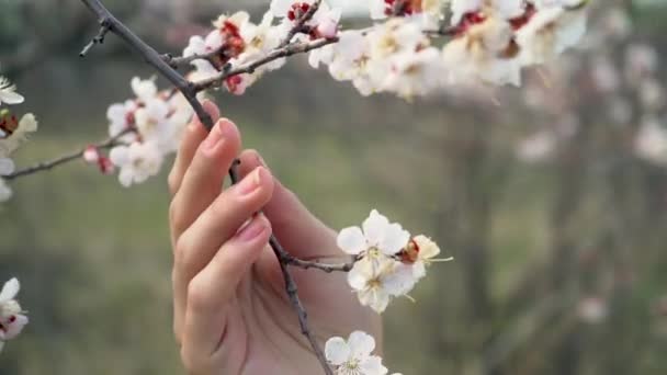 Retrato Uma Bela Menina Cheirando Flores Cor Rosa Jardim — Vídeo de Stock