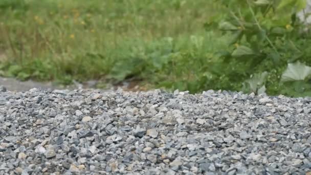 Schwerer Eisen Kettlebell Wettbewerb Hof Outdoor Fitness Konzept Kettlebell Fällt — Stockvideo