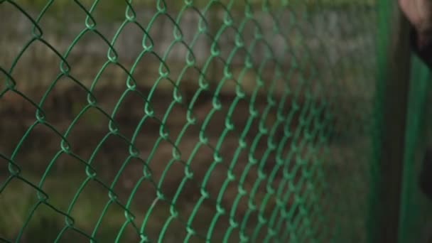 Hand Holding Wire Mesh Fencewoman Hand Wire Mesh Close — Stock Video