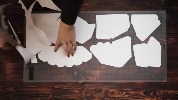 Plotter Snijdt Film Papier — Stockvideo