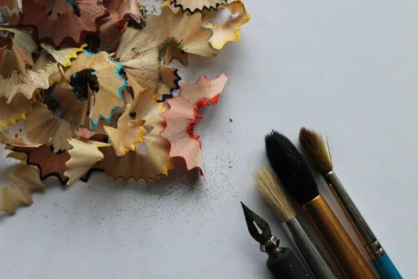 Shavings with wooden pencils, brushes and feather.