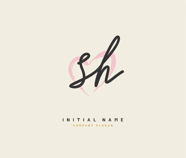 Beauty Vector Initial Logo Handwriting Logo Initial Signature Wedding Fashion — Stock Vector