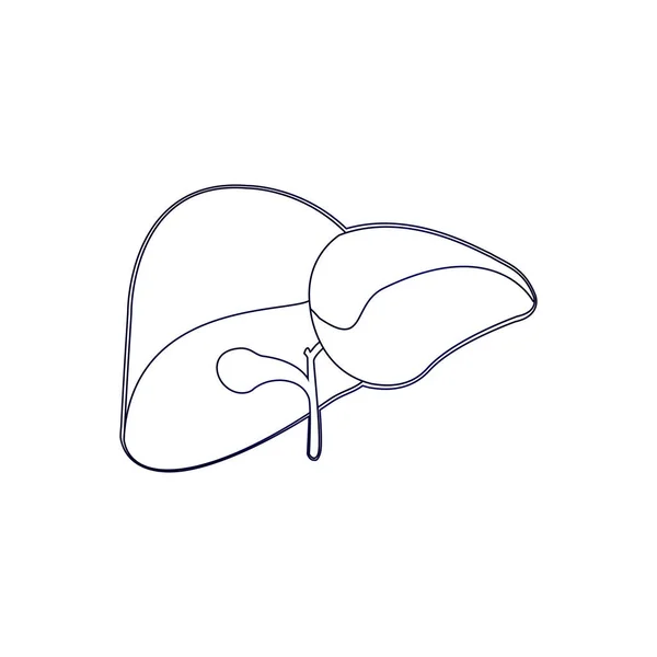 Hígado Humano Arte Vector Ilustración Medicina Diseño Antecedentes — Vector de stock