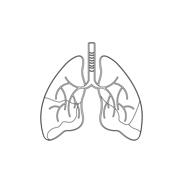 Human Lungs Art Vector Illustration Inglés Medicina Diseño Antecedentes — Vector de stock