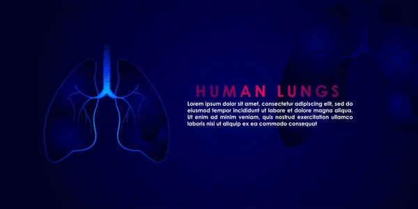 Human Lungs Art Vector Illustration Medicine Design Background — Stock Vector