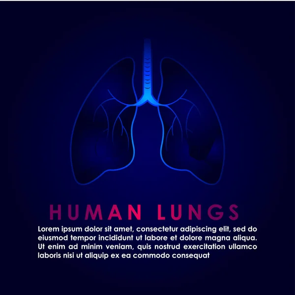 Human Lungs Art Vector Illustration Inglés Medicina Diseño Antecedentes — Vector de stock