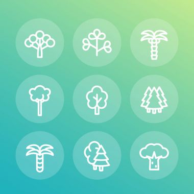 Icons set, palm, köknar, baobab, okaliptüs ağaçları satırı