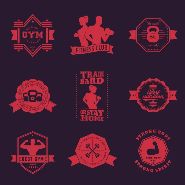 Fitness, gym vintage logo, emblem - Stok Vektor