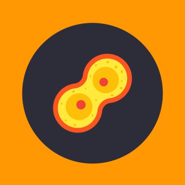 Hücre bölünmesi süreci, mitoz simgesi