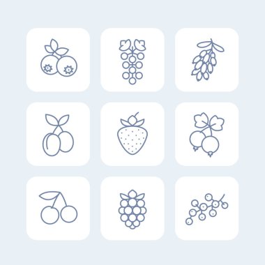 Beyaz üzerine lineer tarzda çilek Icons set