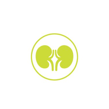 böbrek simgesi, basit vektör