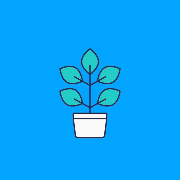 Rostlina v hrnci, vektorová ikona — Stockový vektor