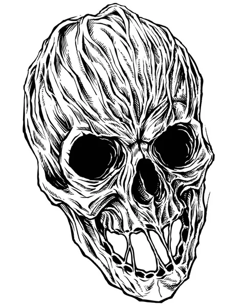 Skull Drawing line work vector. — Stock Vector