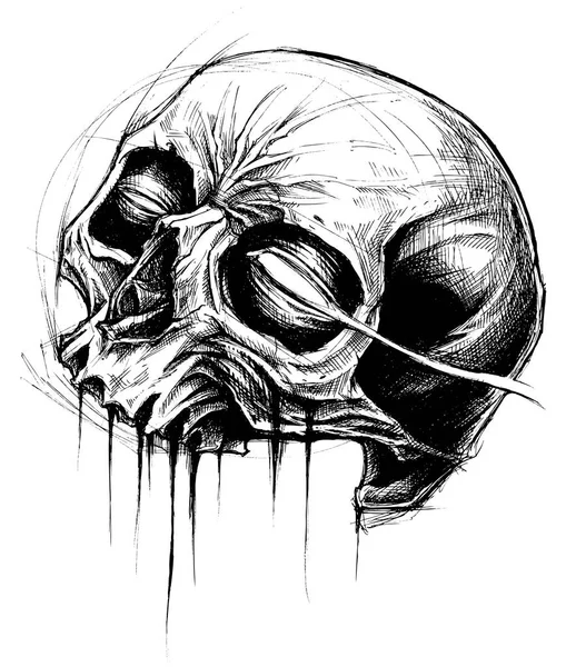 Skull Drawing line work vector. — Stock Vector