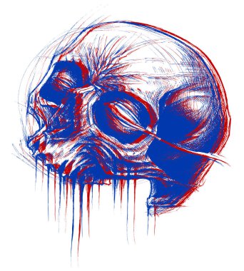 Kafatası illüstrasyon