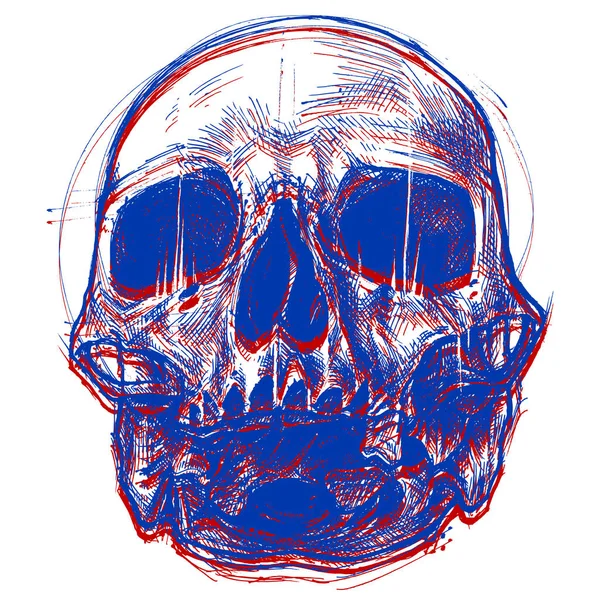 Crâne Illustration 3D — Image vectorielle