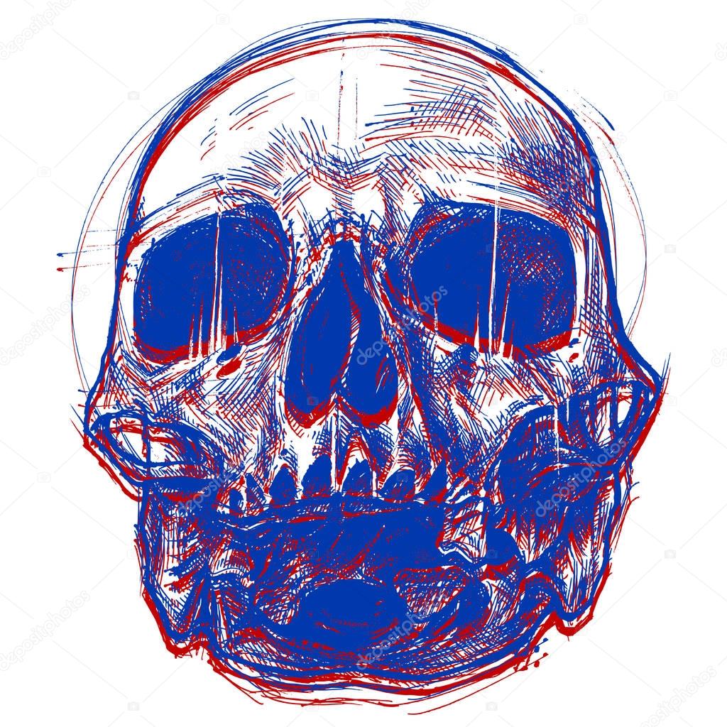 Skull 3D illustration — Stock Vector © 13UG13th #140804992