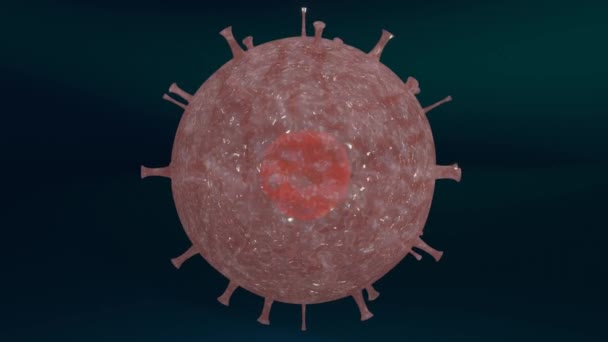 Virus Corona Virus Patógeno Que Causa Infección Organismo Huésped Brote — Vídeo de stock