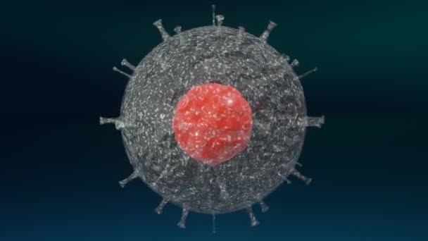 Konak Organizmada Enfeksiyona Neden Olan Coronavirus Patojenik Virüsleri Viral Salgın — Stok video