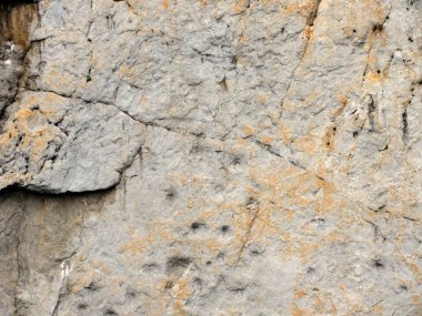 Karadeniz. Kırım 'ın güney sahilleri. Çocuklarla rahatlamak ve dinlenmek için harika bir yer. Mükemmel bir balık avı..