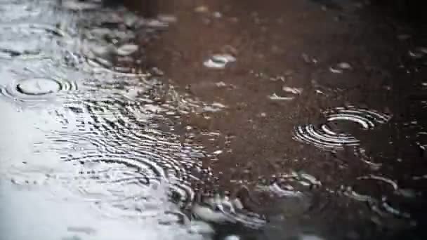 RAINWATER DROPS Cadendo su una pozzanghera con riflessi in una strada — Video Stock