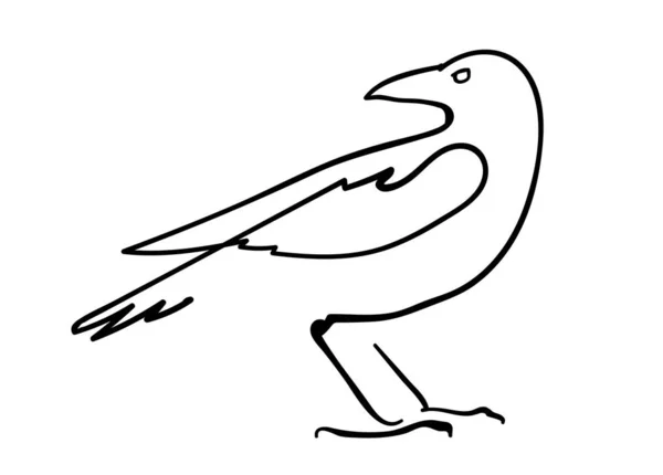 Kråka Fågel Linje — Stock vektor