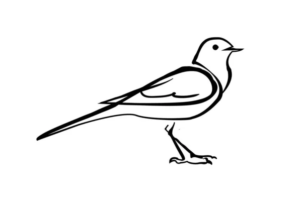 Coda Uccello Una Linea — Vettoriale Stock