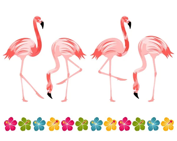 Flamingo ptáci s květy ibišku — Stock fotografie