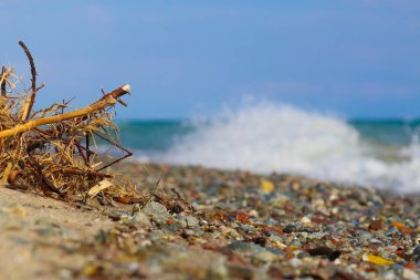 Kırgızistan, Issyk-Kul Gölü, vahşi sahil.