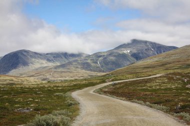 Norveç dağında bir patika. Rondane Ulusal Parkı