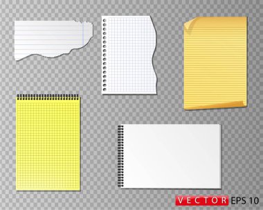 Farklı formatlar ve renkler kâğıdı, yırtık kağıt seti 4 tip kağıt. Vektör. Eps 10