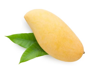 mango üstten görünüm beyaz