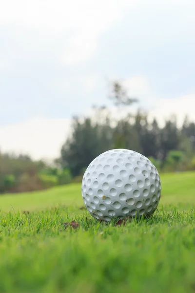 Close up shot of white golf ball on green — Stock Photo, Image