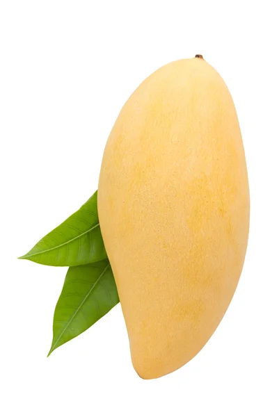 Top view of mango on white background — Stock Photo, Image