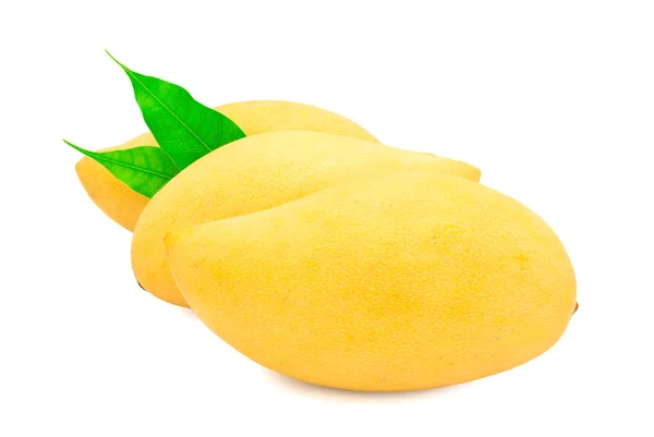 Свежий манго на белом — стоковое фото