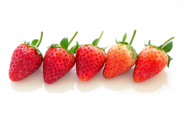 최고 보기에 화이트에 신선한 딸기 — 스톡 사진