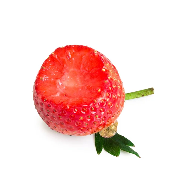 흰색 바탕에 물어와 신선한 딸기 — 스톡 사진
